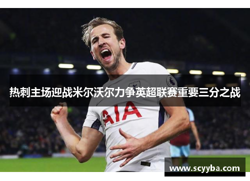 热刺主场迎战米尔沃尔力争英超联赛重要三分之战